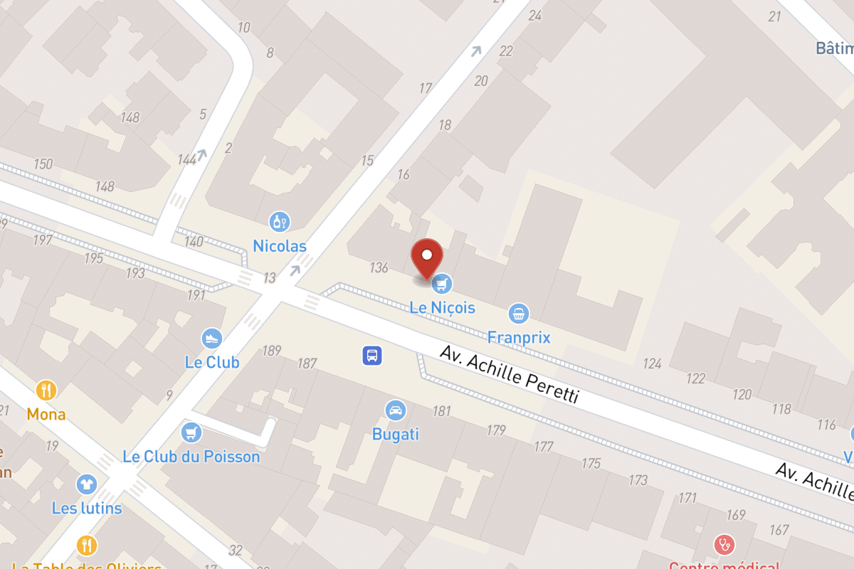 Plan de situation — 134 Avenue Achille Peretti