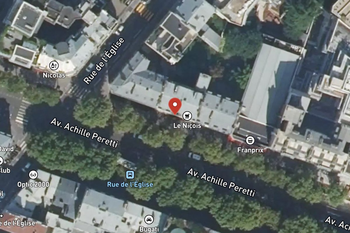 Vue satellite — 134 Avenue Achille Peretti