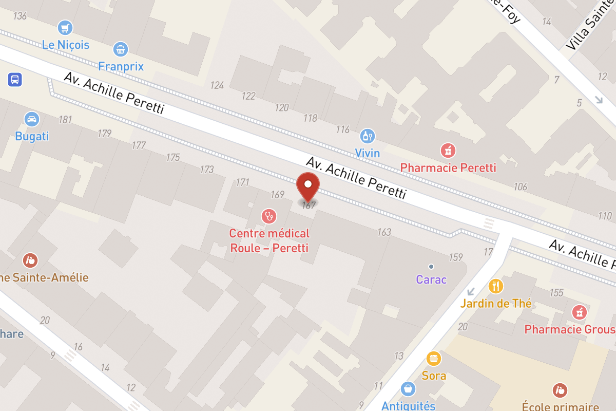 Plan de situation — 167 Avenue Achille Peretti