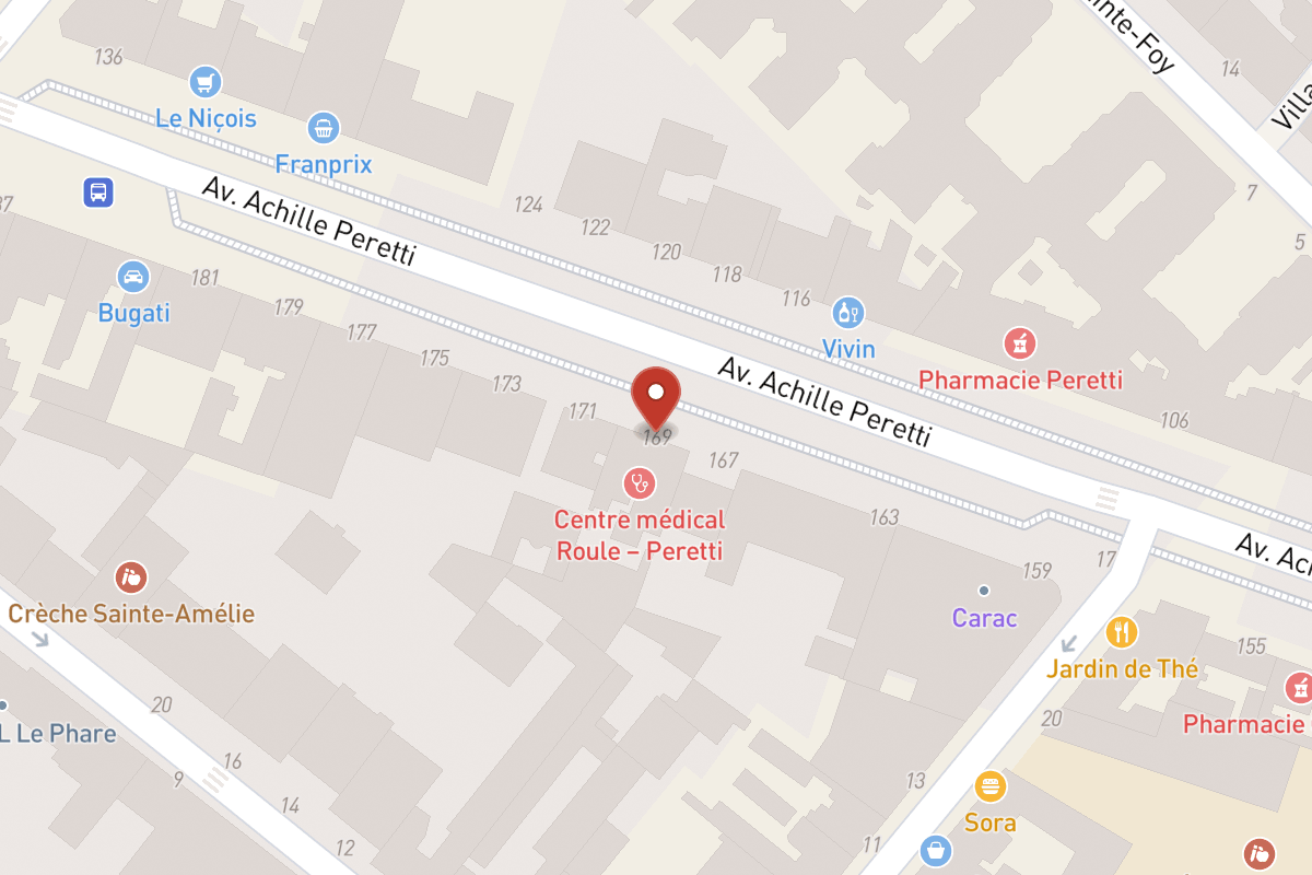 Plan de situation — 169 Avenue Achille Peretti