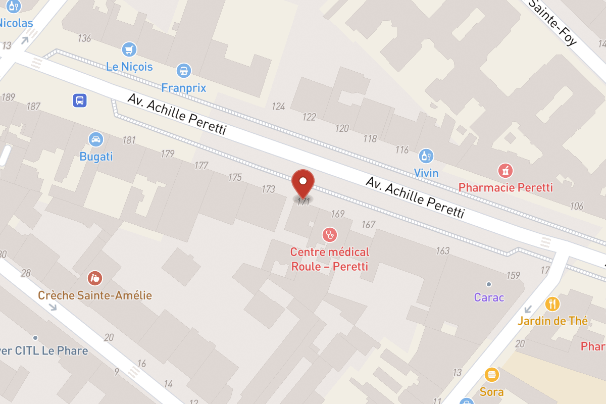 Plan de situation — 171 Avenue Achille Peretti