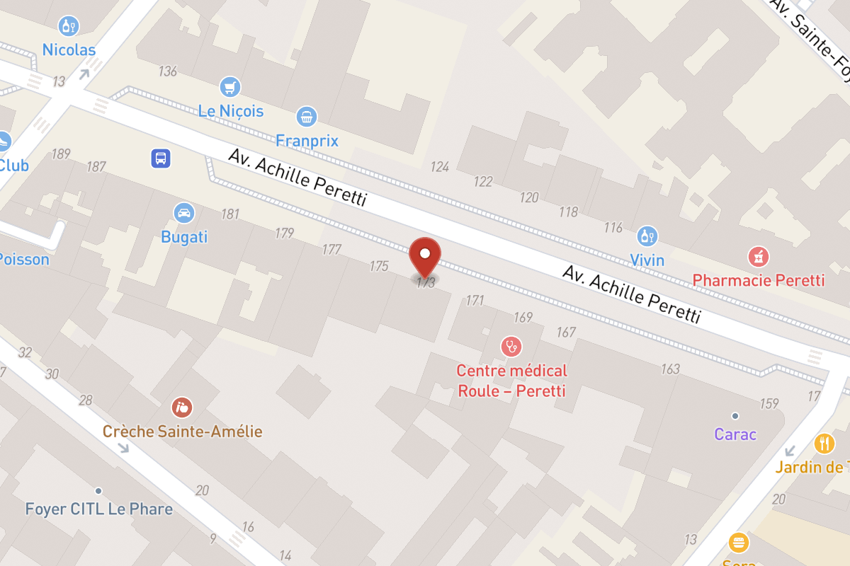 Plan de situation — 173 Avenue Achille Peretti