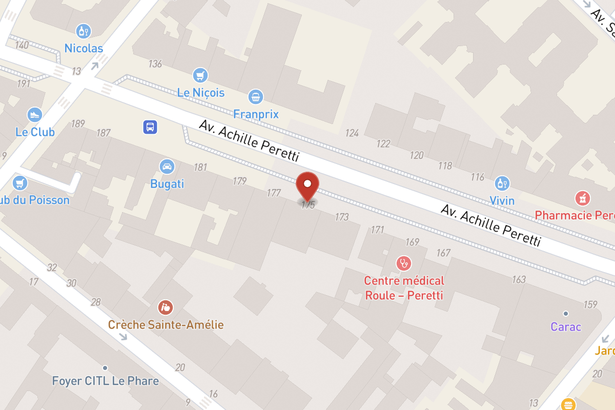 Plan de situation — 175 Avenue Achille Peretti