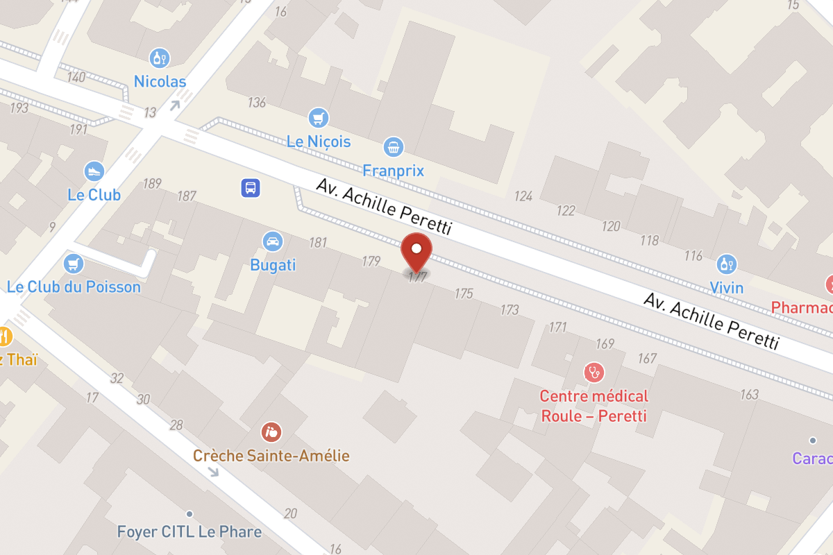 Plan de situation — 177 Avenue Achille Peretti