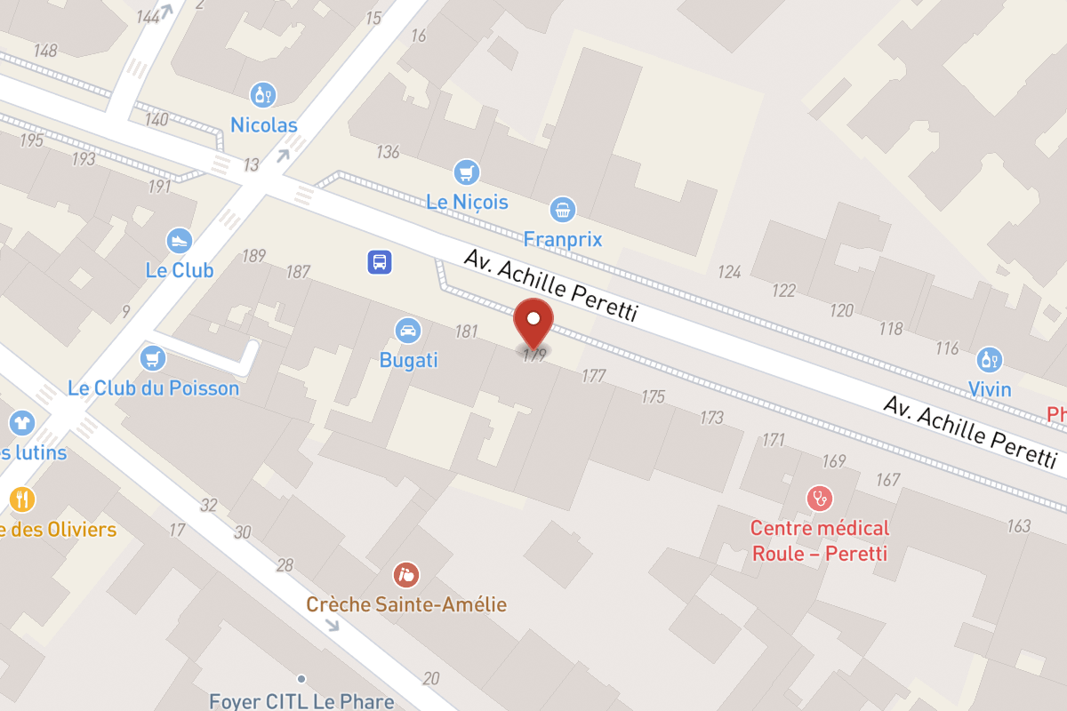 Plan de situation — 179 Avenue Achille Peretti