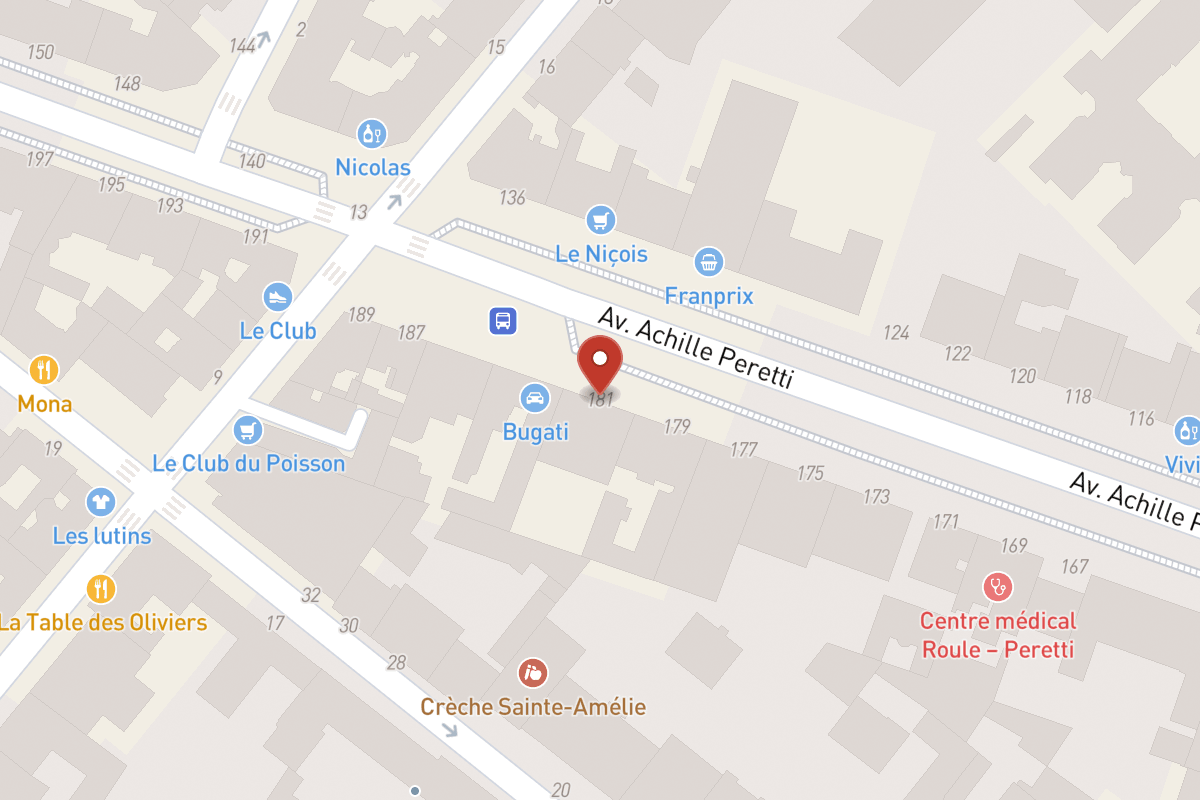 Plan de situation — 181 Avenue Achille Peretti