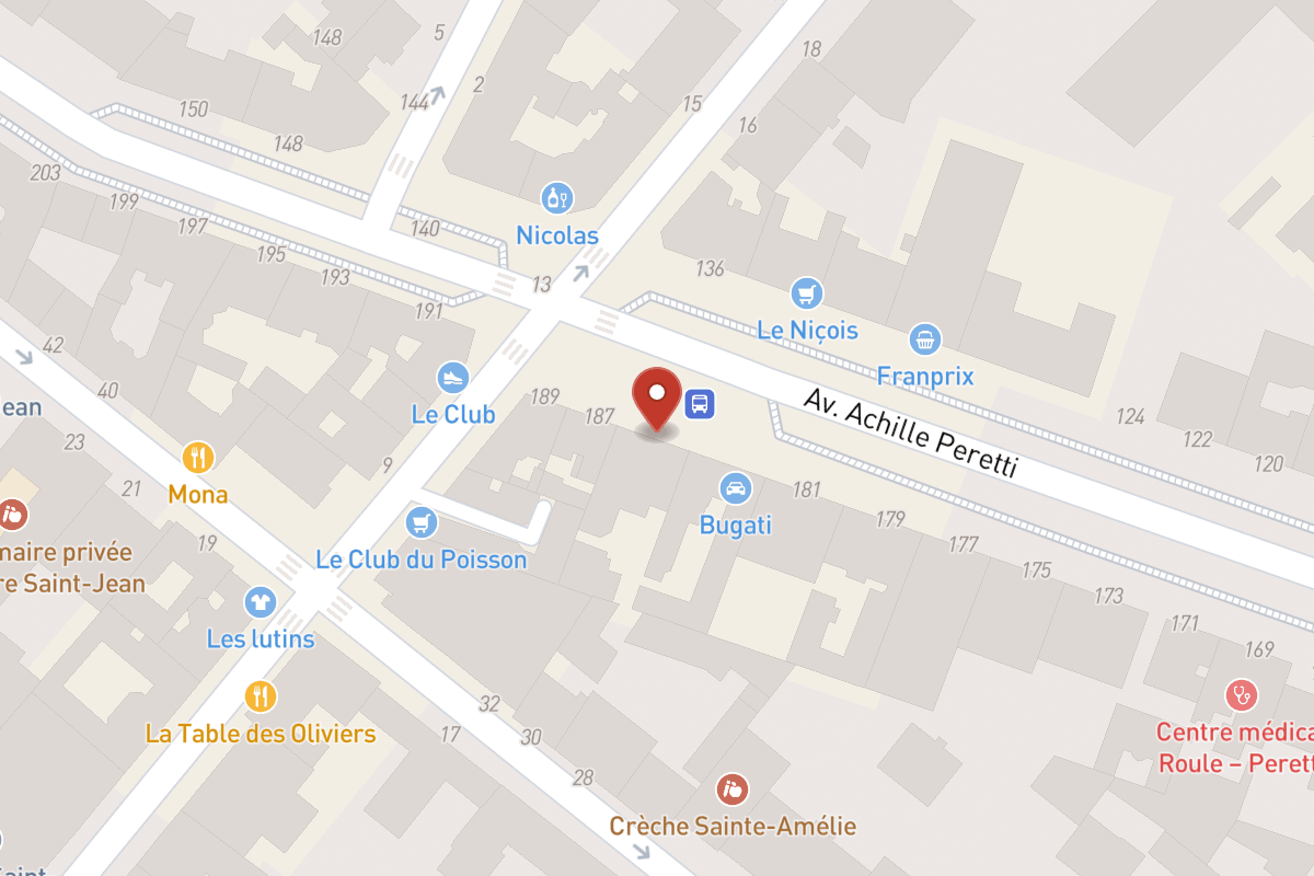 Plan de situation — 185 Avenue Achille Peretti