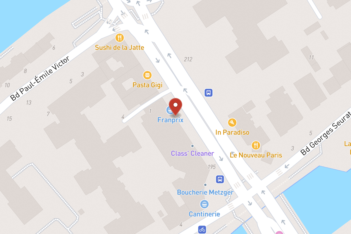 Plan de situation — 207 Avenue Bineau