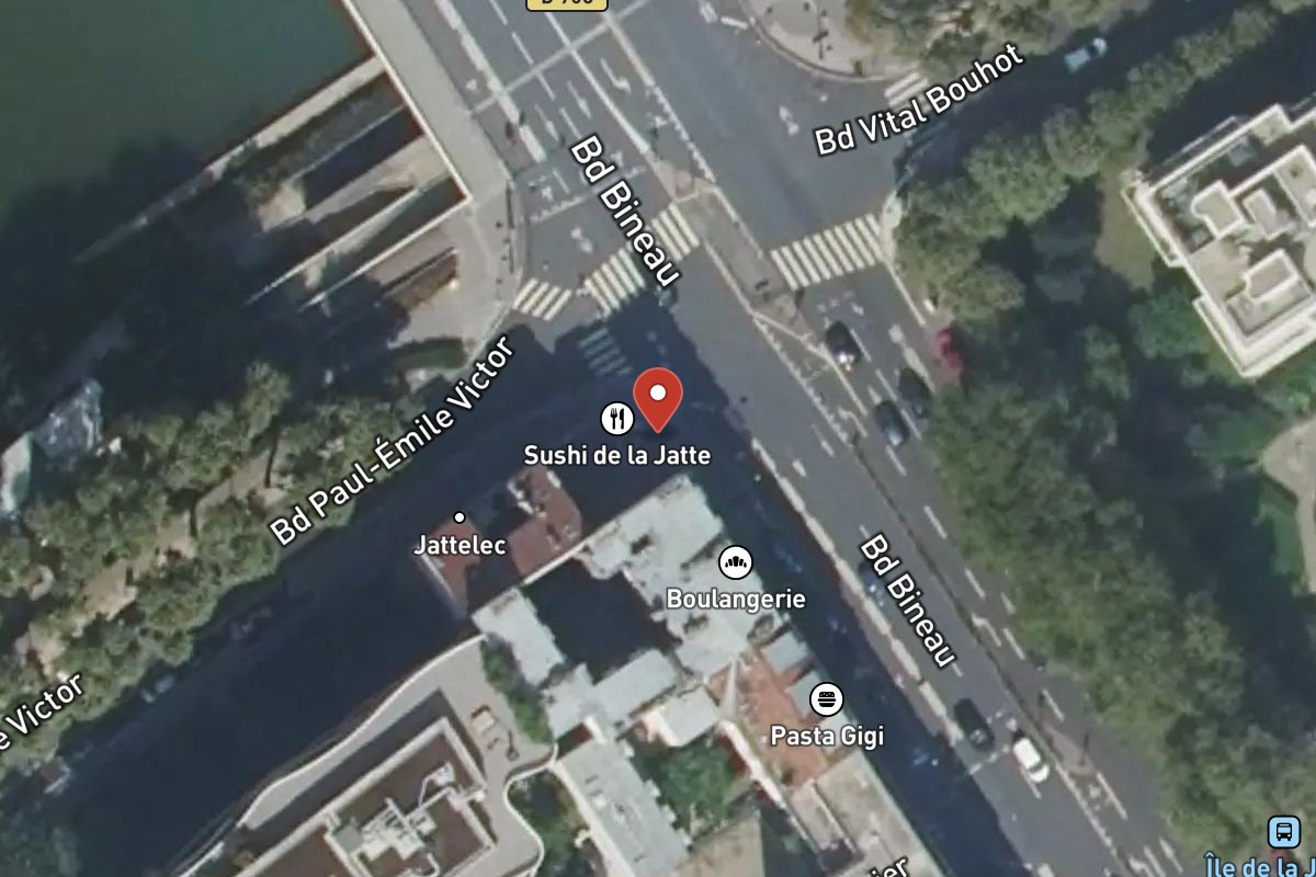 Vue satellite — 217 Avenue Bineau