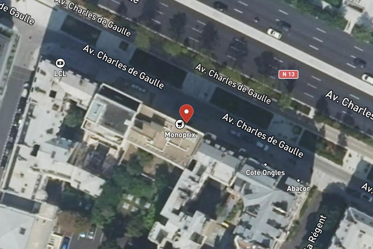 Vue satellite — 113 Avenue Charles de Gaulle