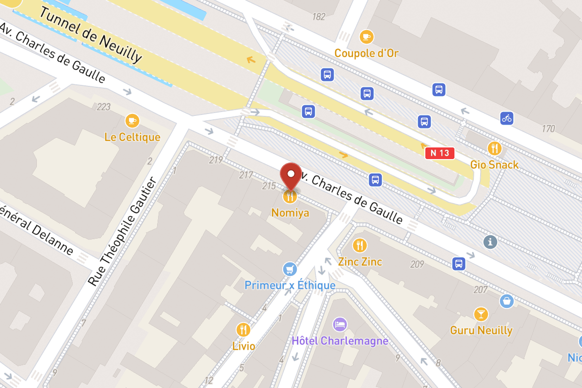 Plan de situation — 211BIS Avenue Charles de Gaulle