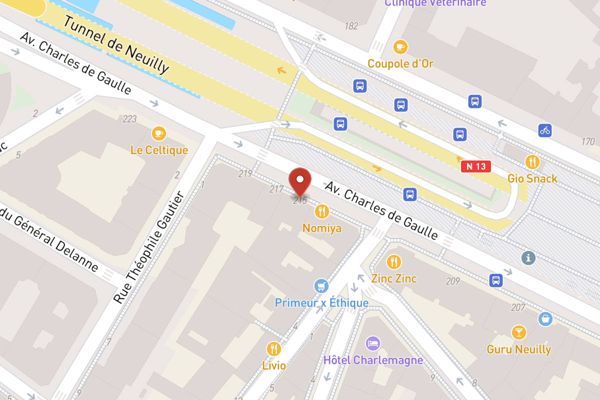 Plan de situation — 215 Avenue Charles de Gaulle