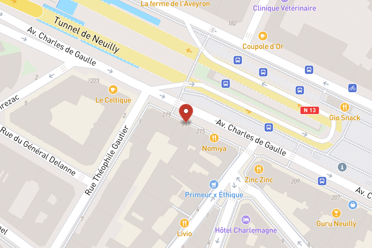 Plan de situation — 217 Avenue Charles de Gaulle