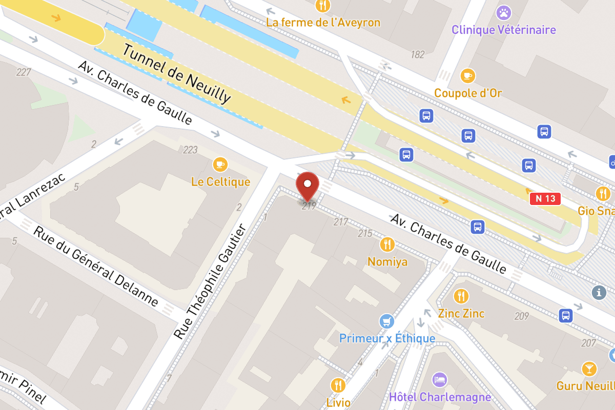 Plan de situation — 219 Avenue Charles de Gaulle