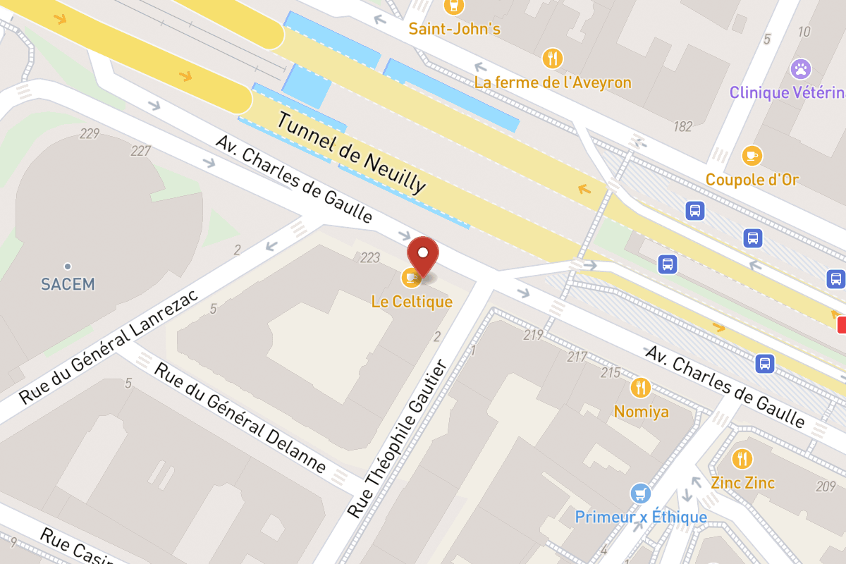 Plan de situation — 221 Avenue Charles de Gaulle