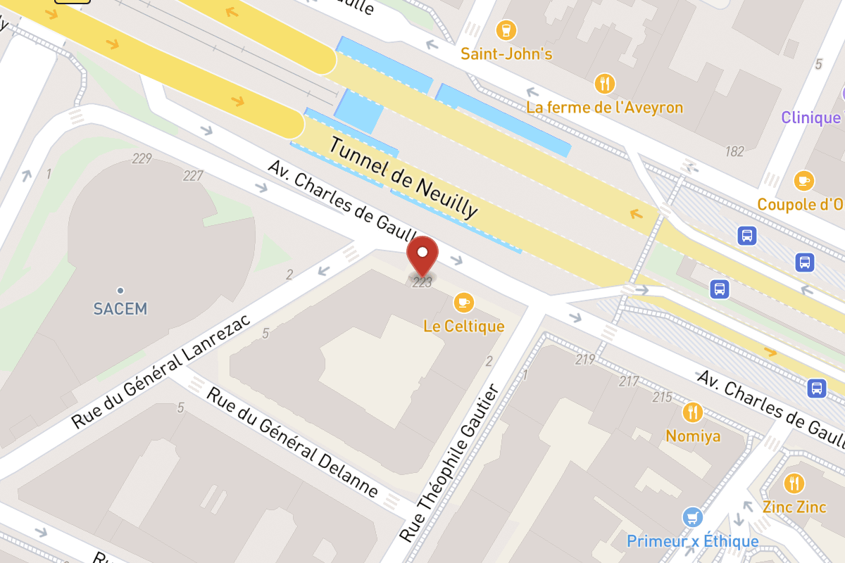 Plan de situation — 223 Avenue Charles de Gaulle