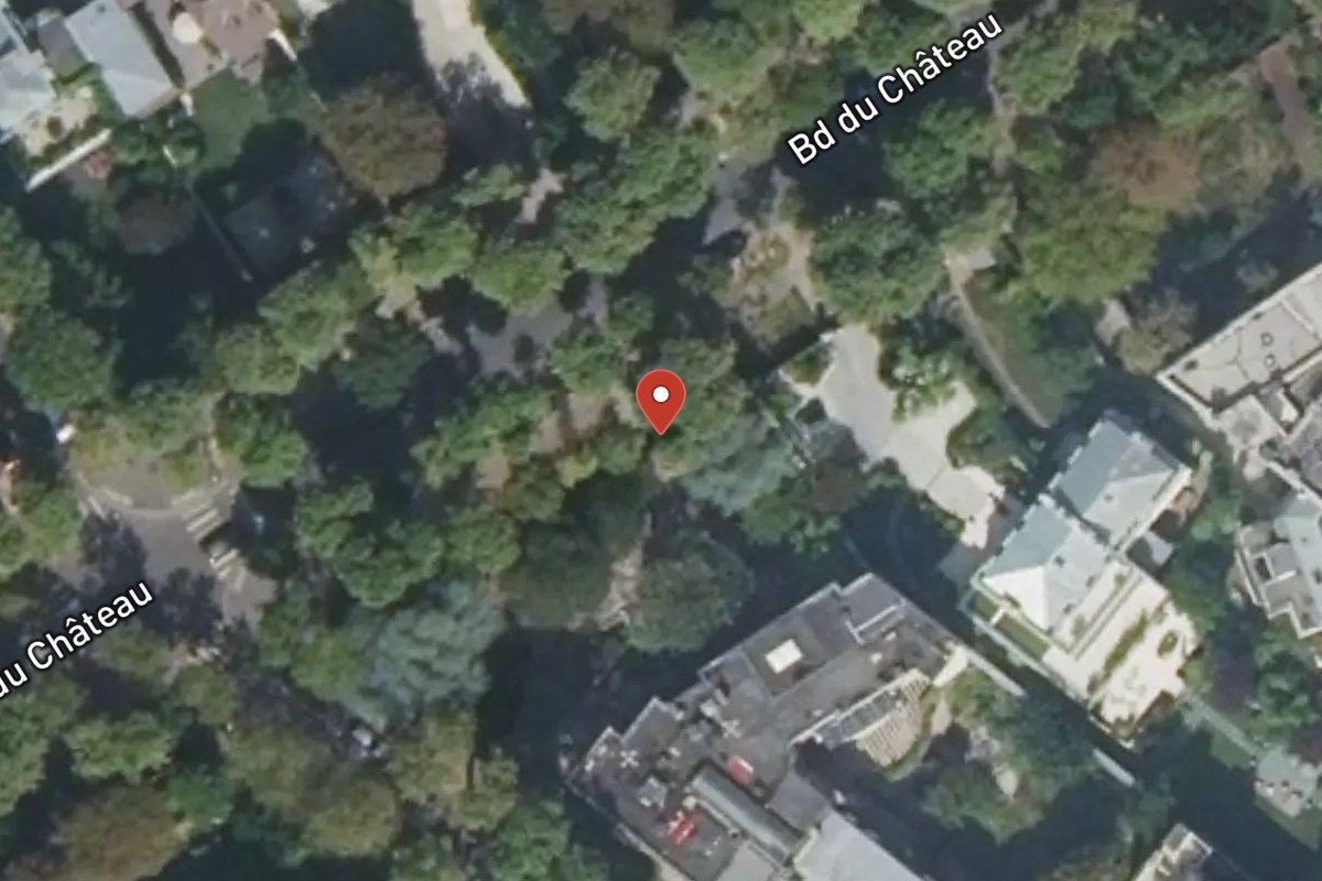 Vue satellite — 20BIS Avenue du Château