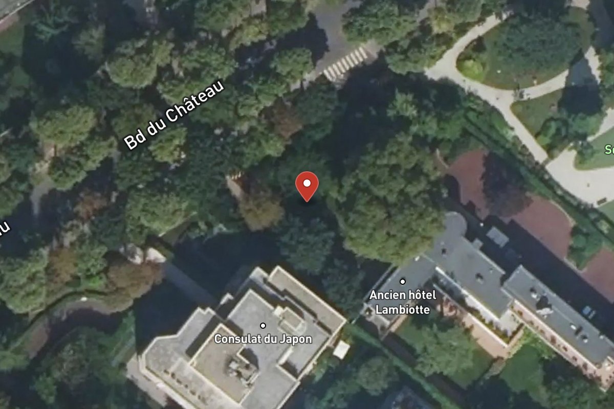Vue satellite — 20 Avenue du Château