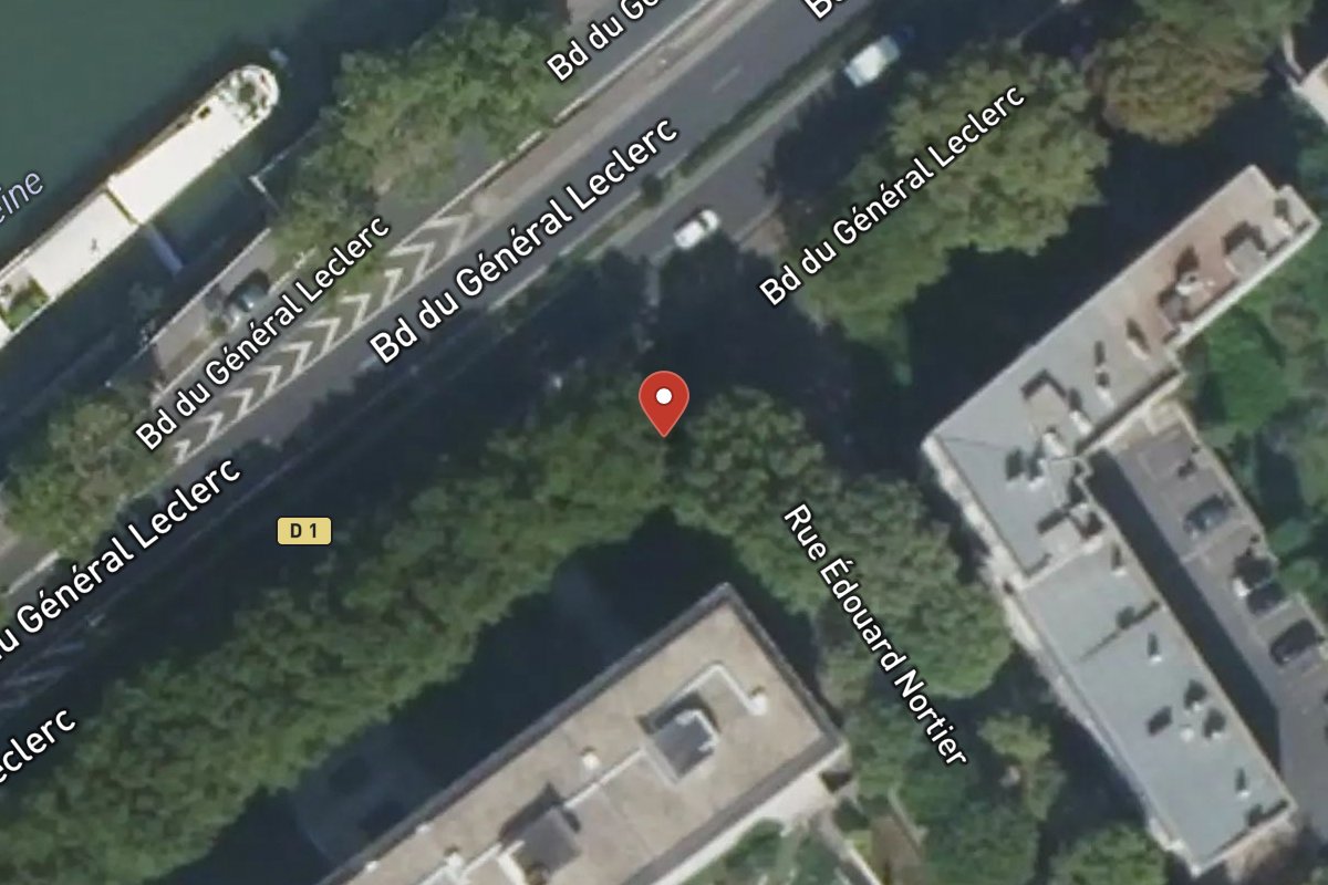 Vue satellite — 52 Avenue du Général Leclerc