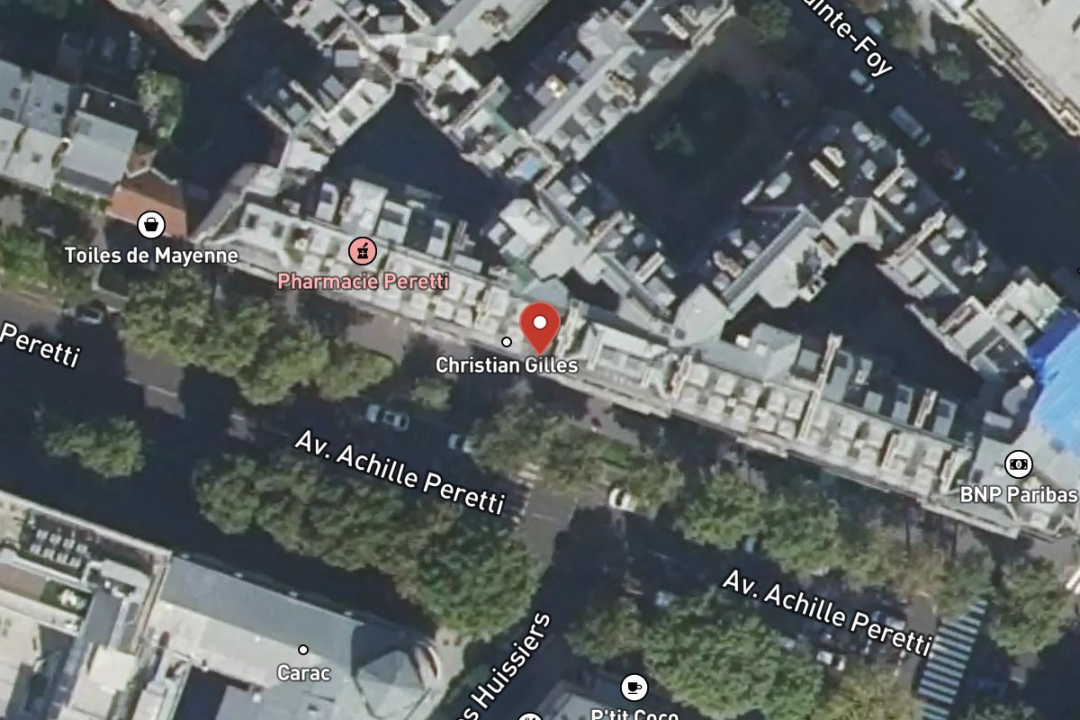 Vue satellite — 102 Avenue du Roule