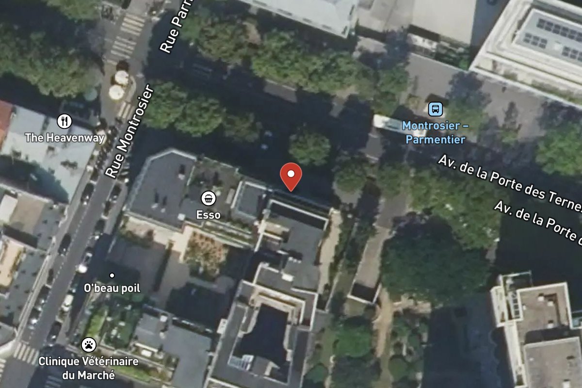 Vue satellite — 29 Avenue du Roule