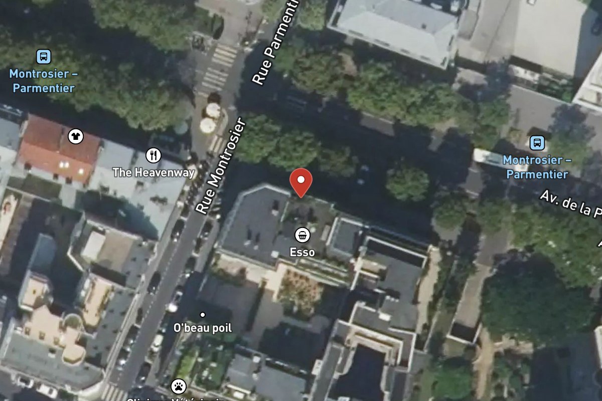 Vue satellite — 31 Avenue du Roule