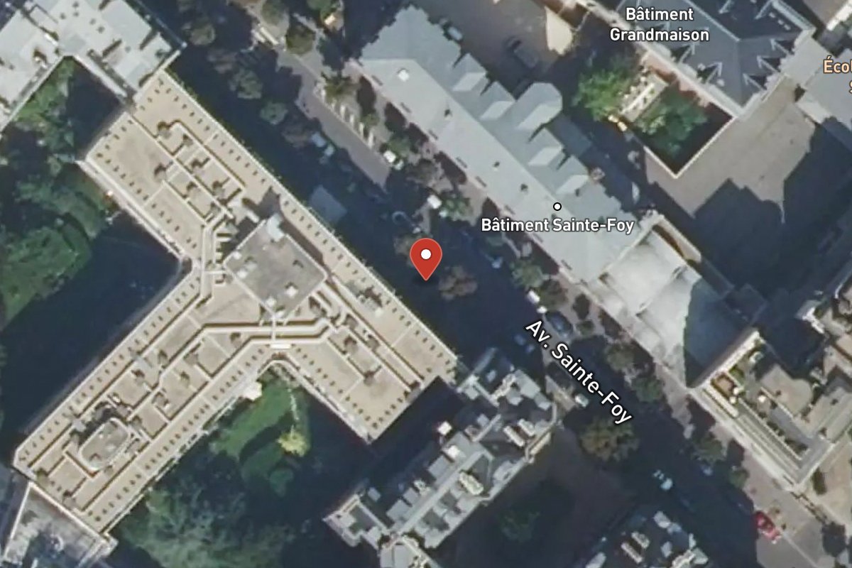 Vue satellite — 19 Avenue Sainte-Foy