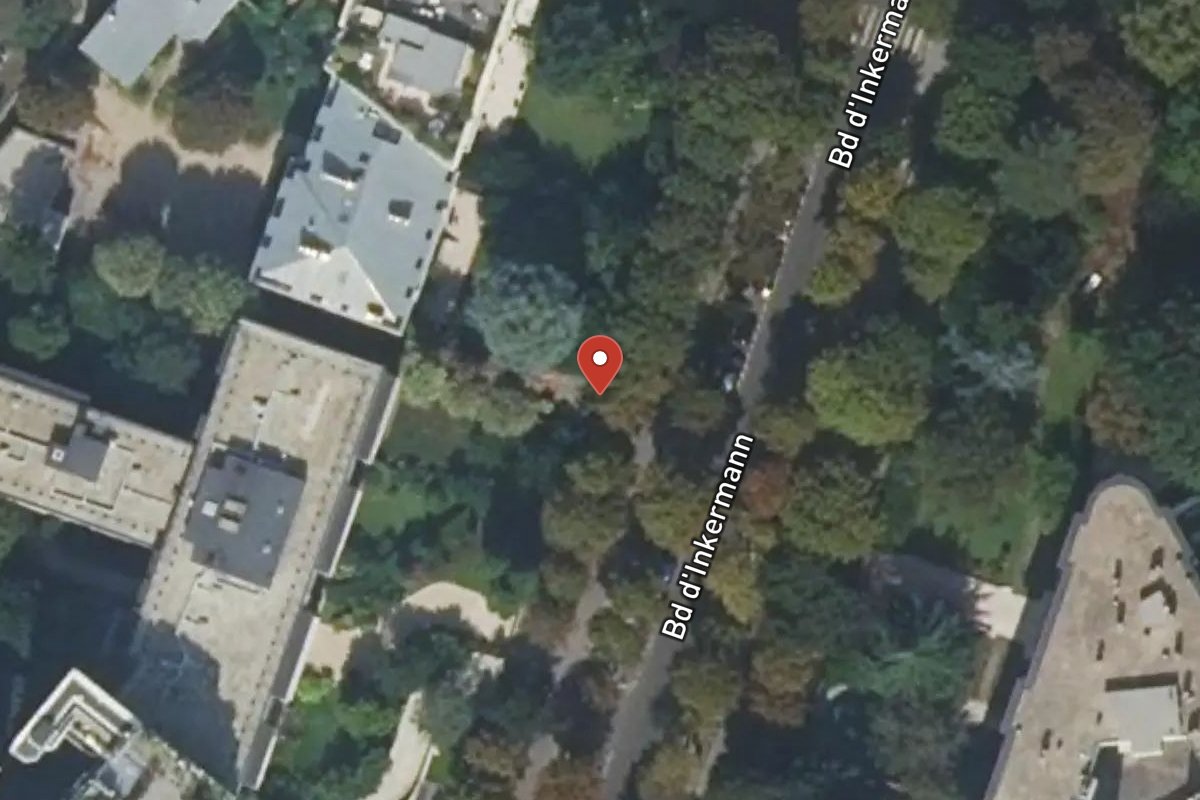 Vue satellite — 59 Boulevard Inkermann