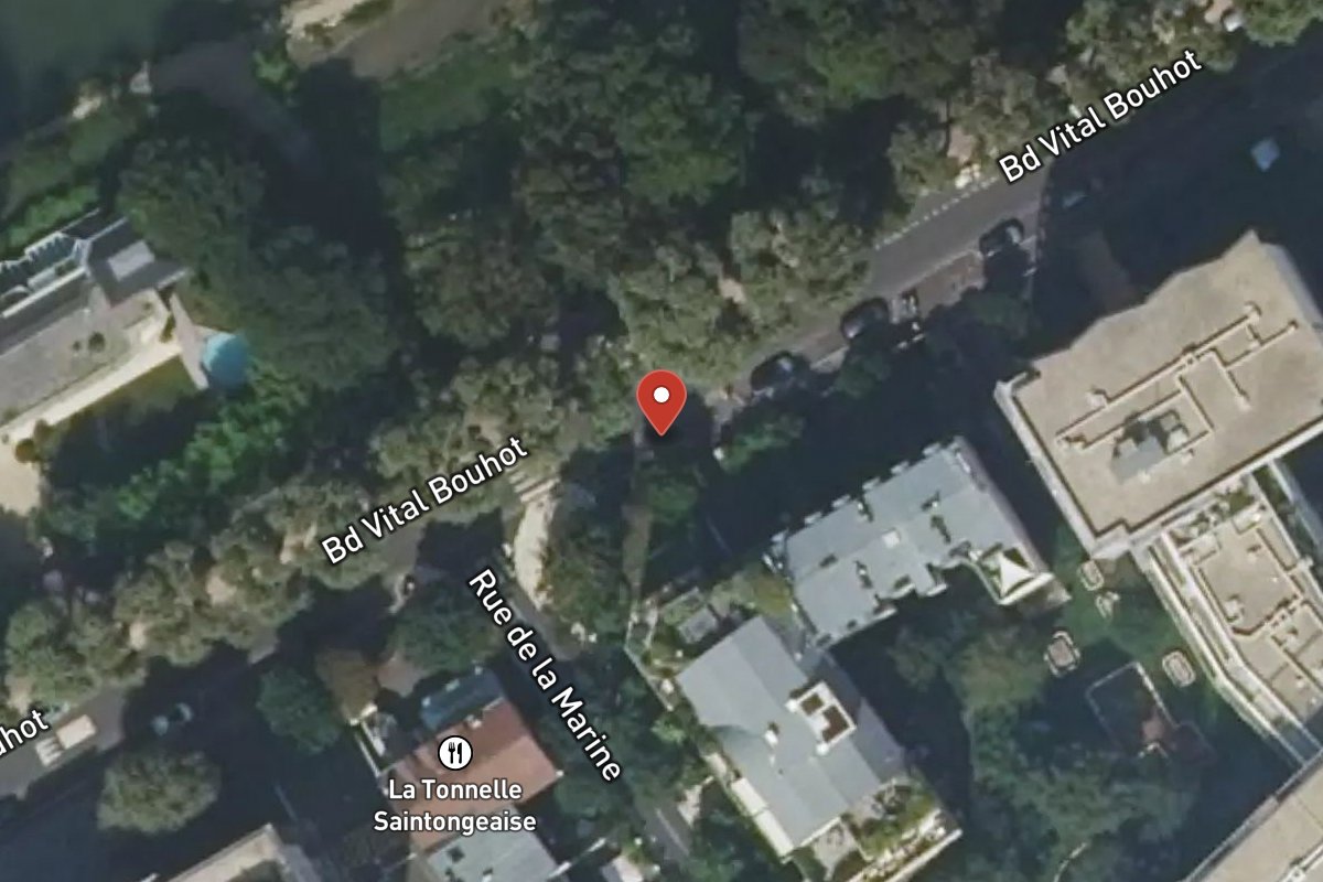 Vue satellite — 38 Boulevard Vital Bouhot