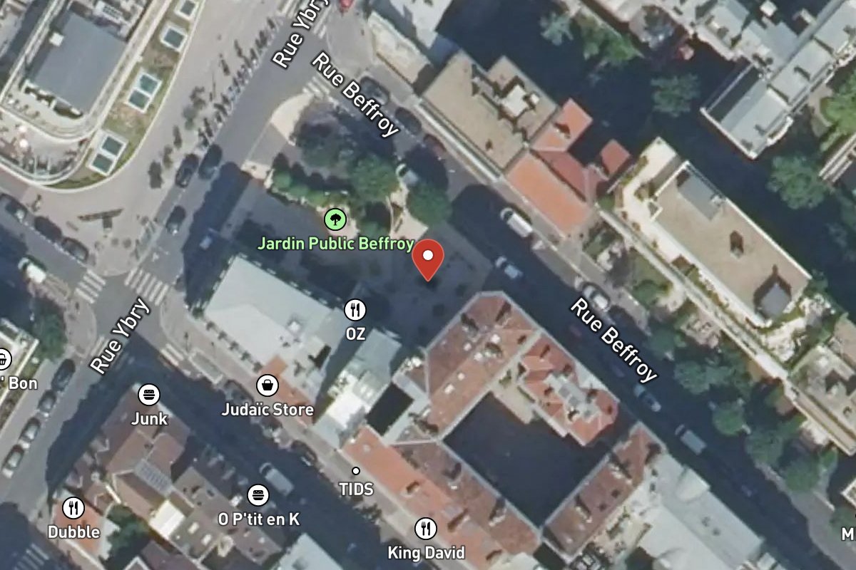 Vue satellite — 17 Rue Beffroy