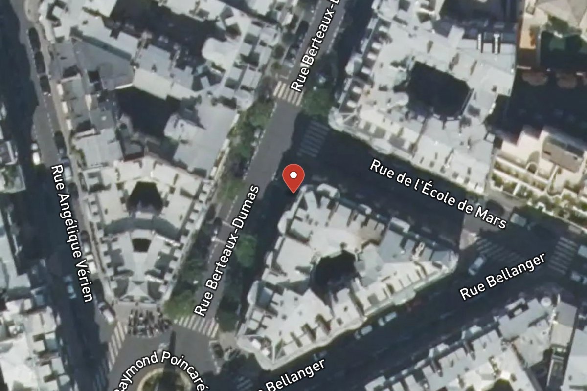 Vue satellite — 10 Rue Berteaux Dumas