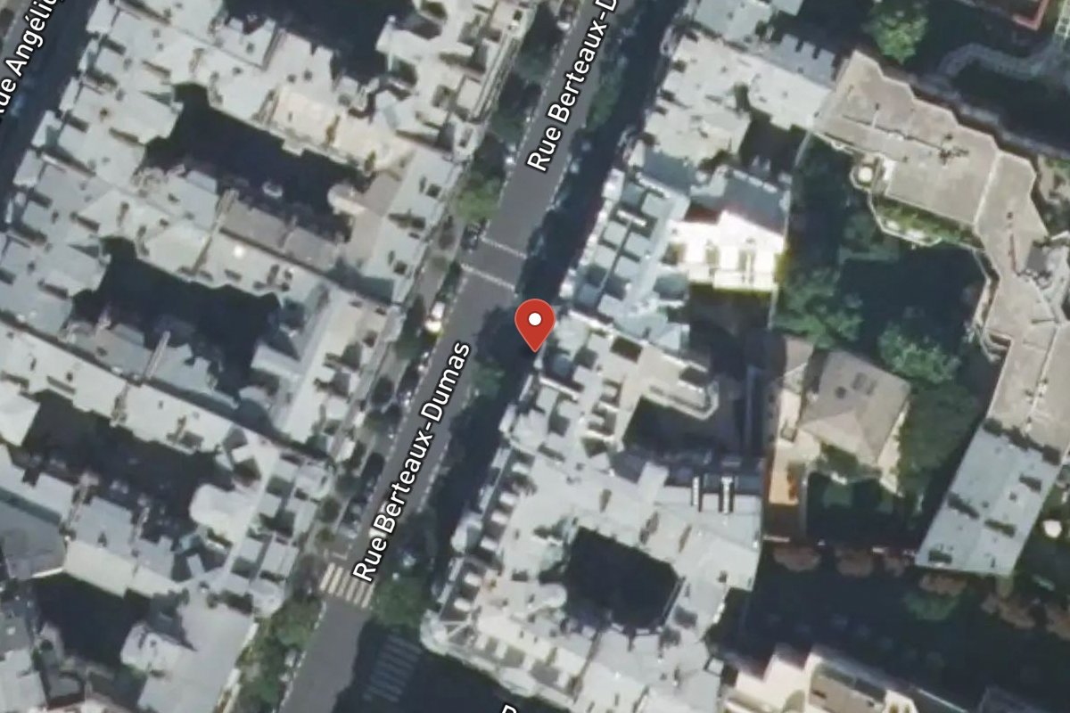 Vue satellite — 14 Rue Berteaux Dumas