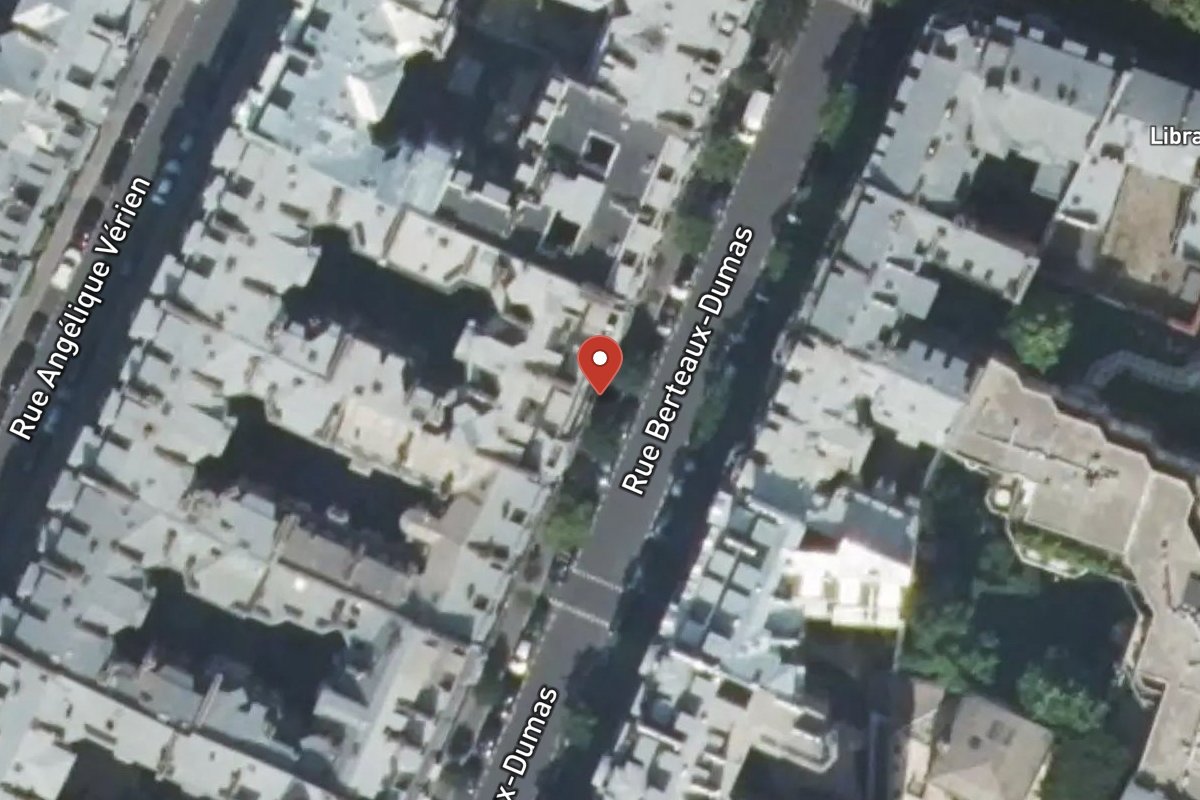 Vue satellite — 17 Rue Berteaux Dumas