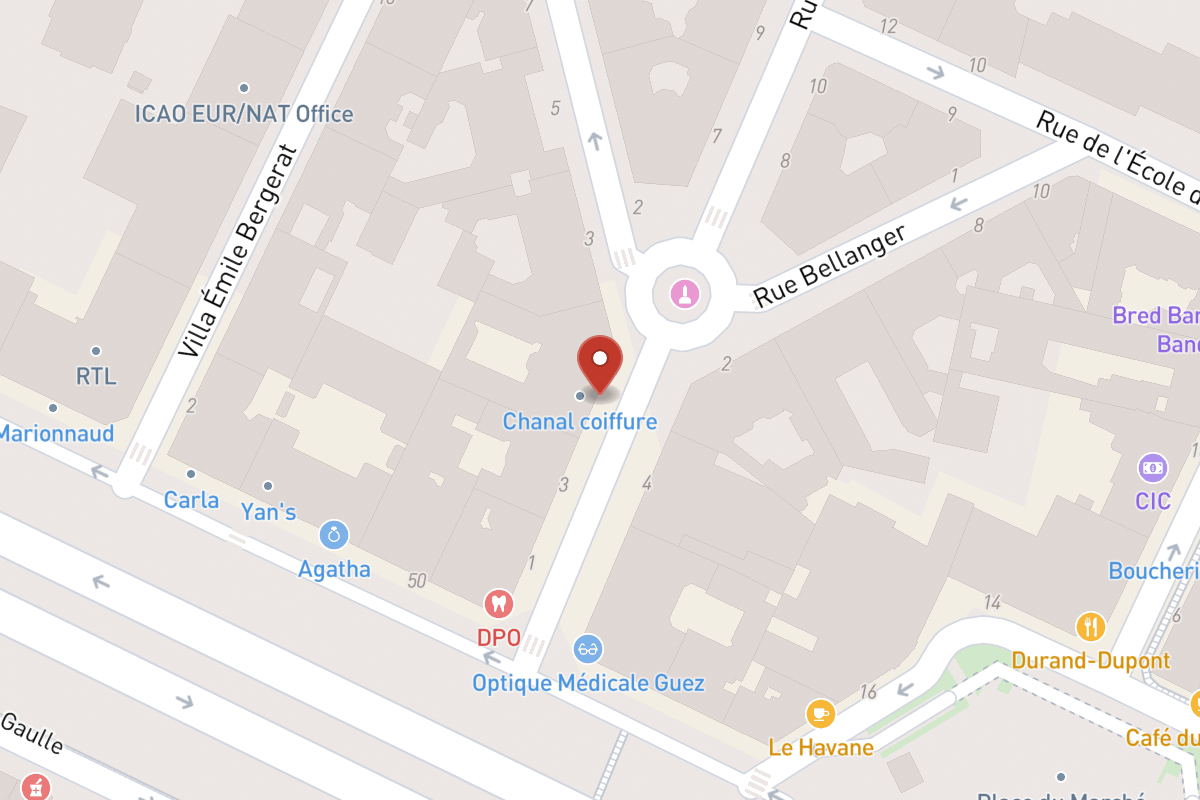 Plan de situation — 5 Rue Berteaux Dumas