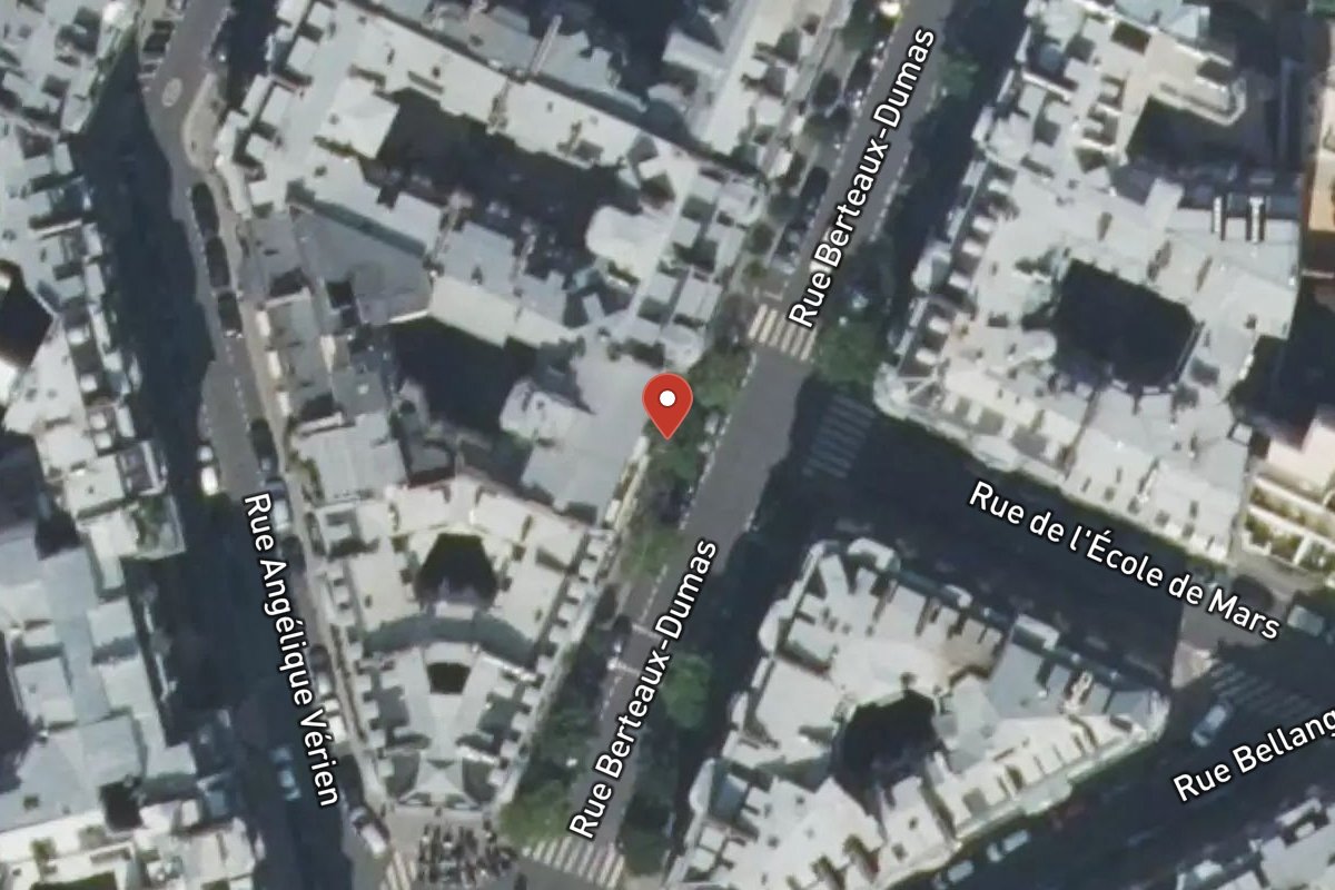 Vue satellite — 9 Rue Berteaux Dumas