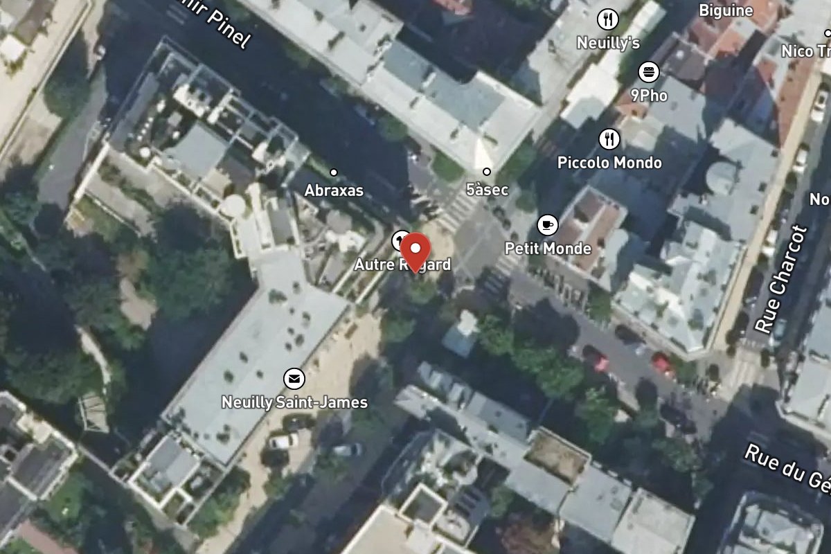 Vue satellite — 20 Rue de Longchamp