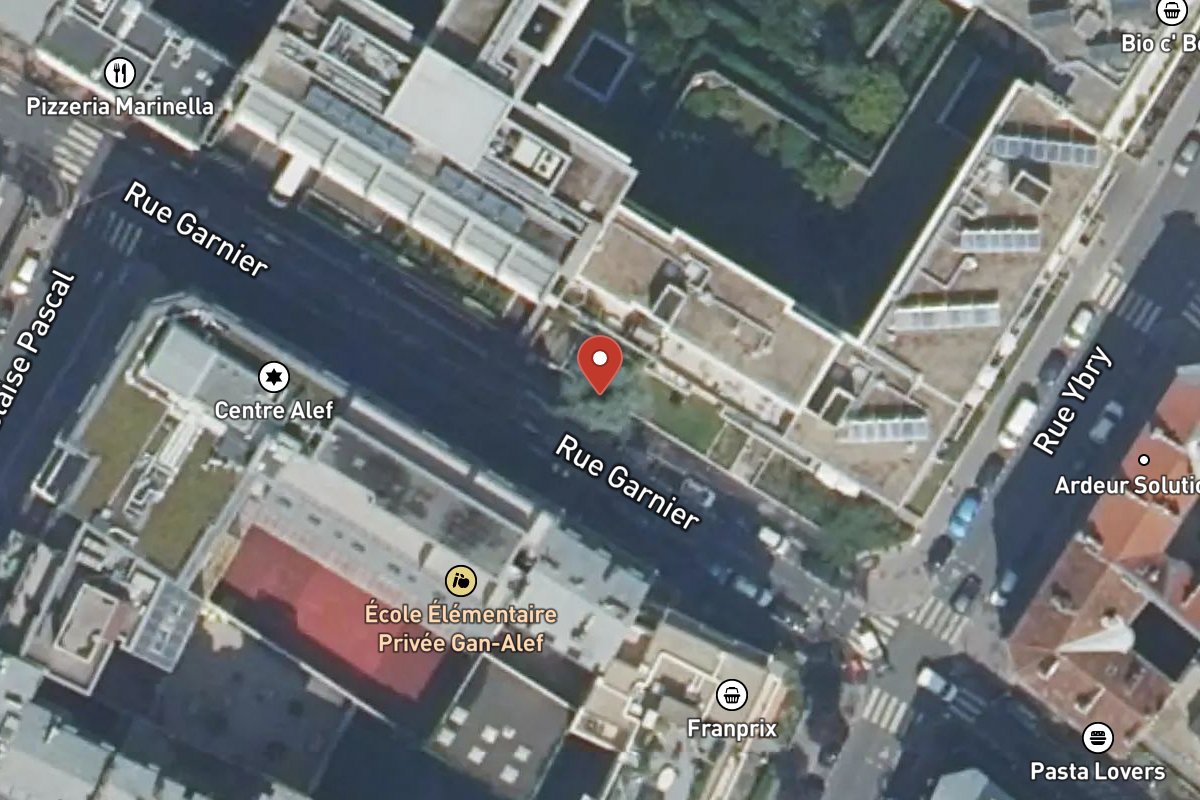 Vue satellite — 20 Rue Garnier
