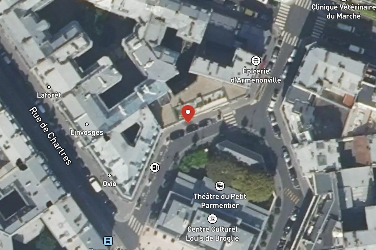 Vue satellite — 21 Rue Montrosier