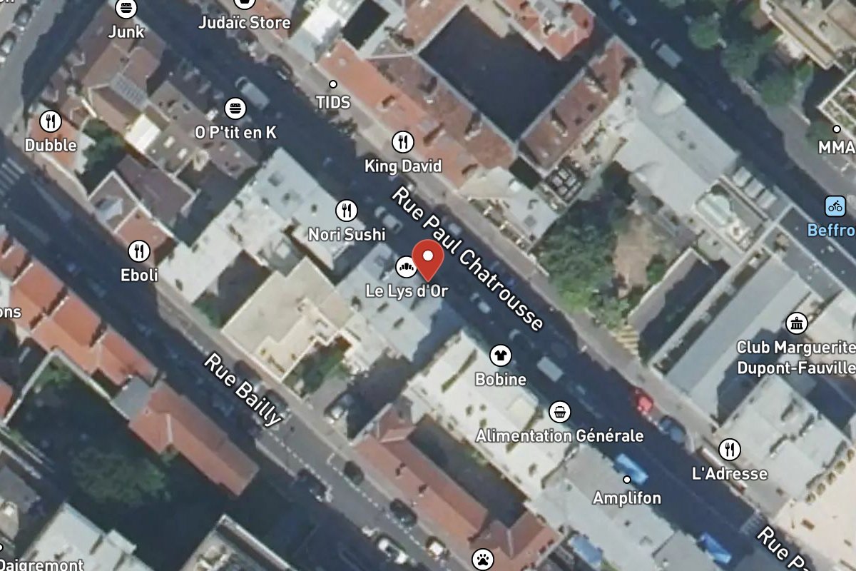 Vue satellite — 13 Rue Paul Chatrousse