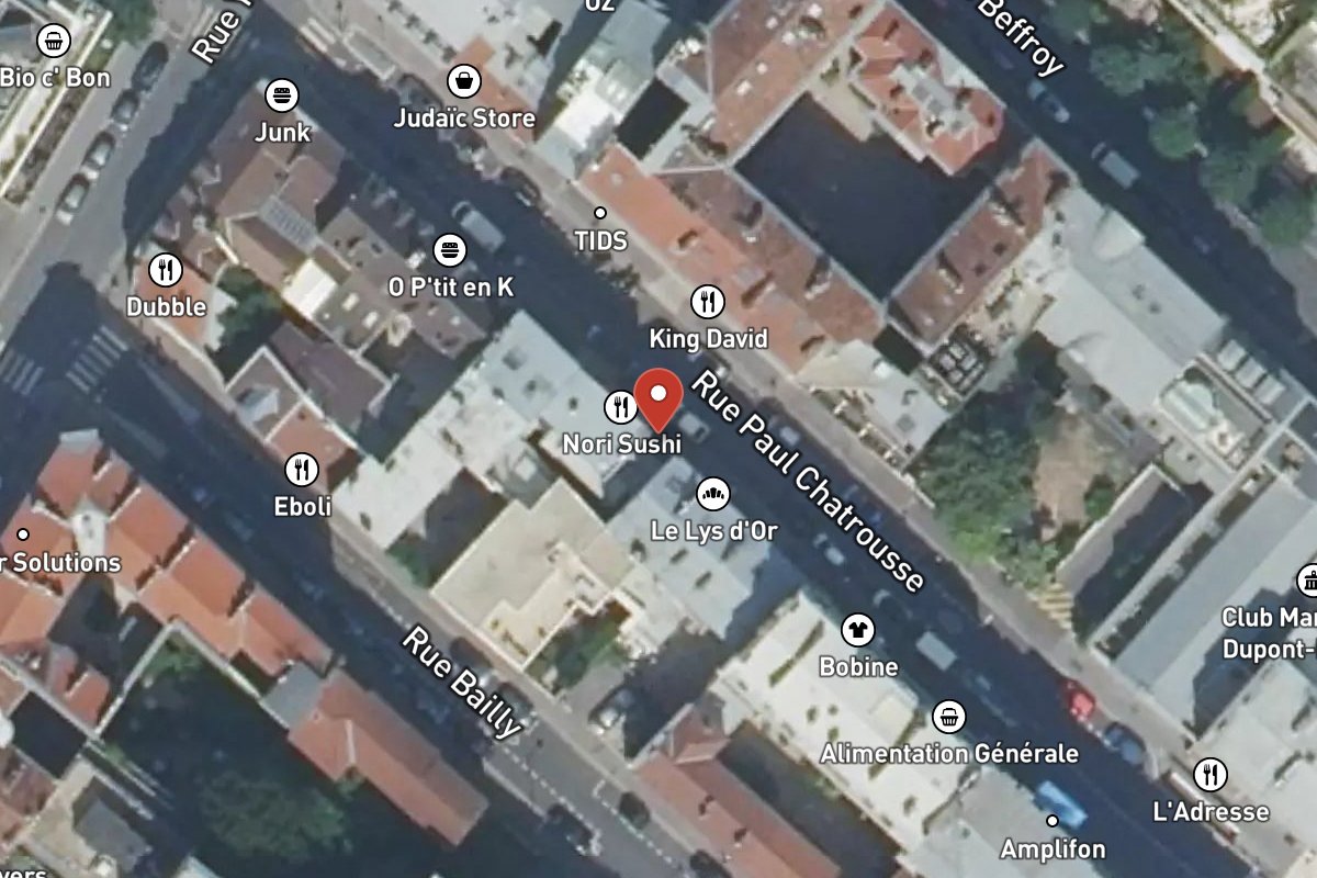 Vue satellite — 15 Rue Paul Chatrousse