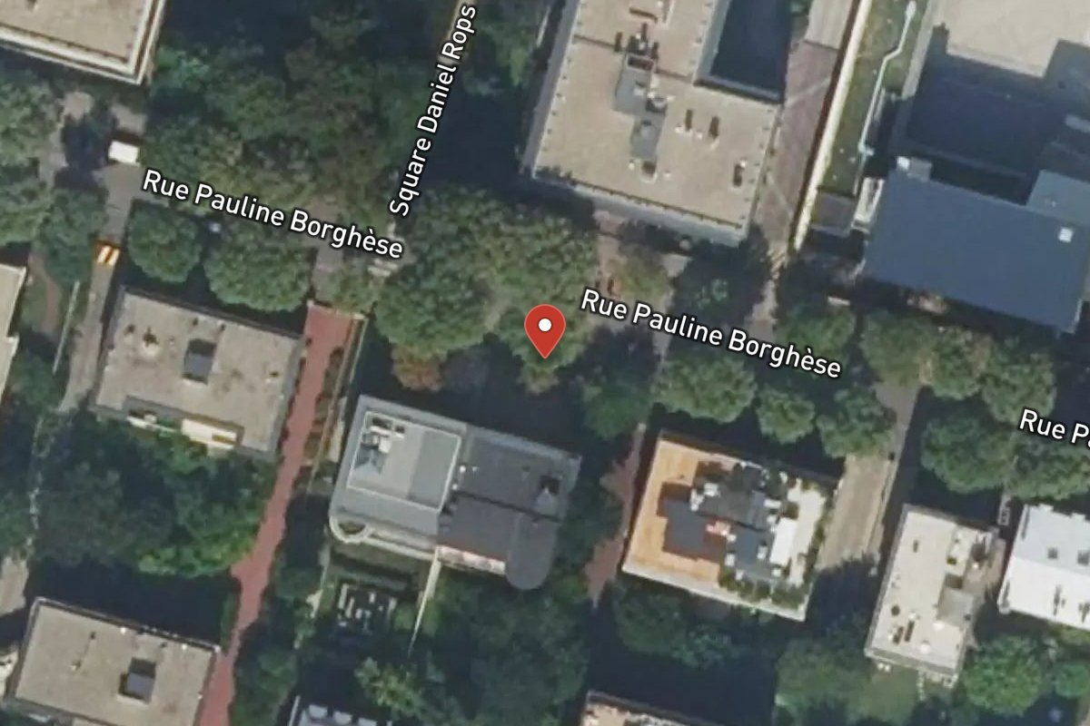 Vue satellite — 17 Rue Pauline Borghese