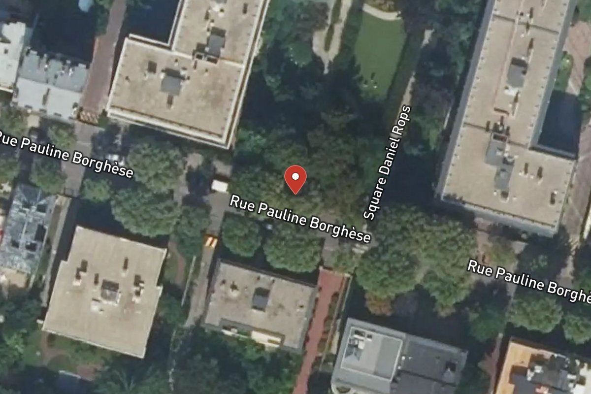 Vue satellite — 24 Rue Pauline Borghese
