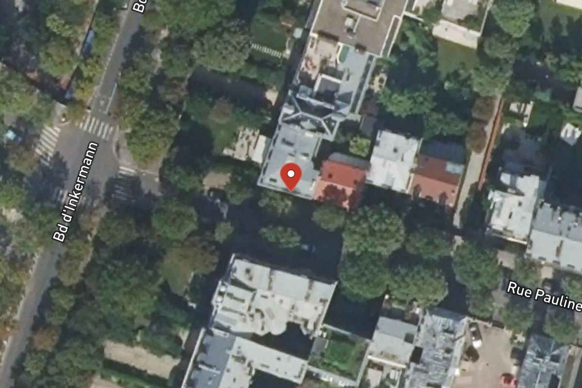 Vue satellite — 42 Rue Pauline Borghese