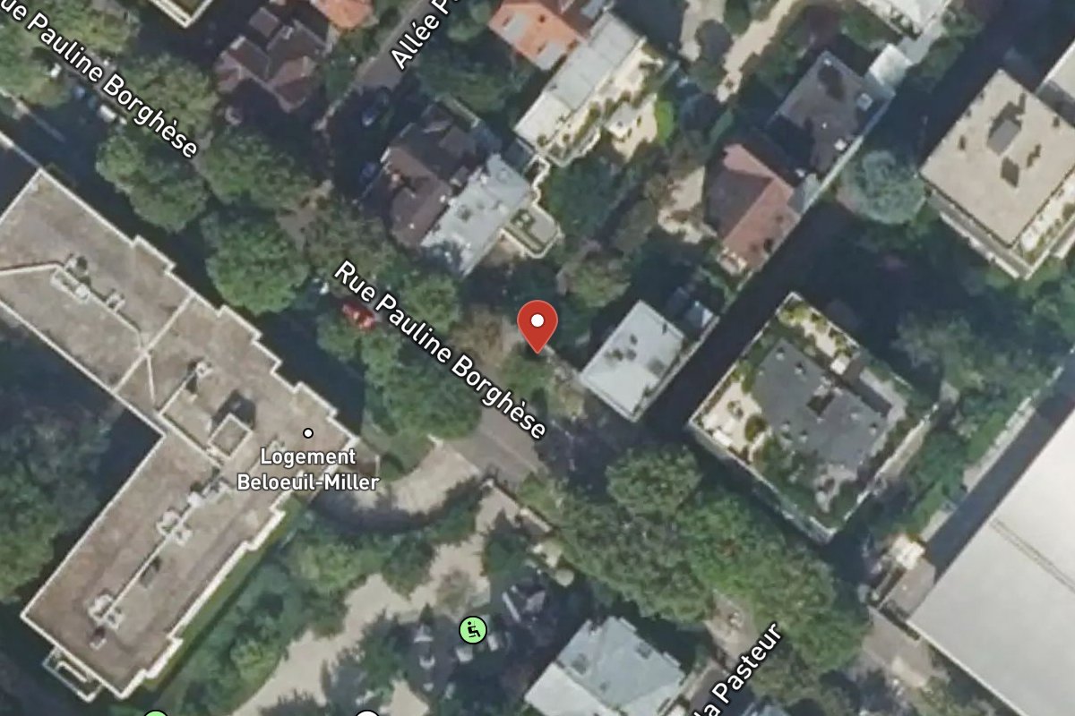 Vue satellite — 58 Rue Pauline Borghese