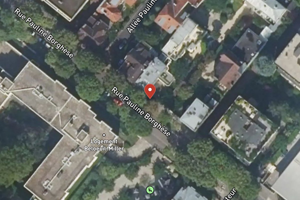 Vue satellite — 60BIS Rue Pauline Borghese