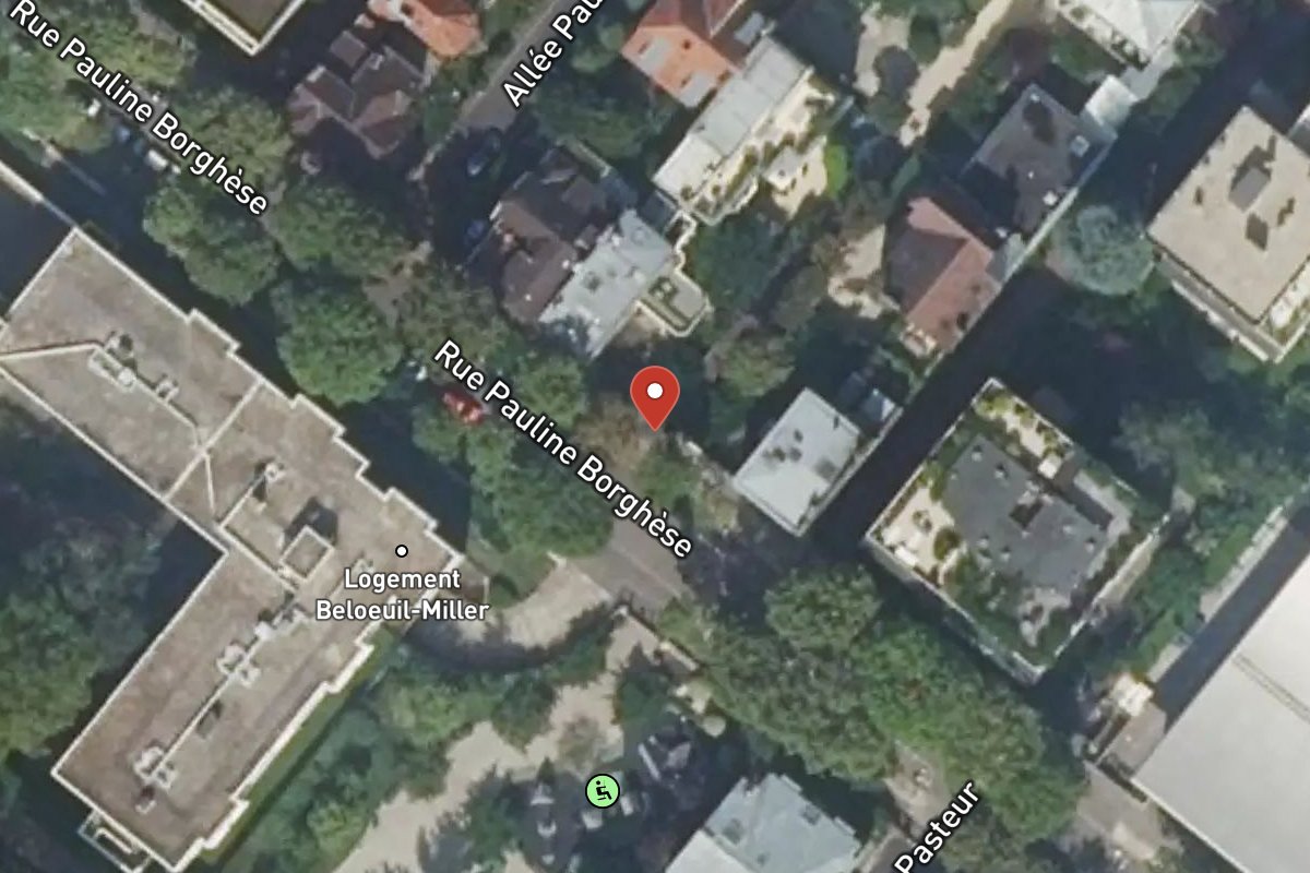 Vue satellite — 60 Rue Pauline Borghese