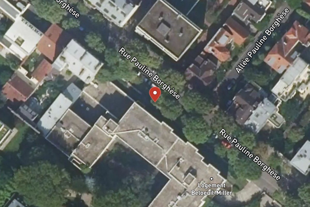 Vue satellite — 61 Rue Pauline Borghese