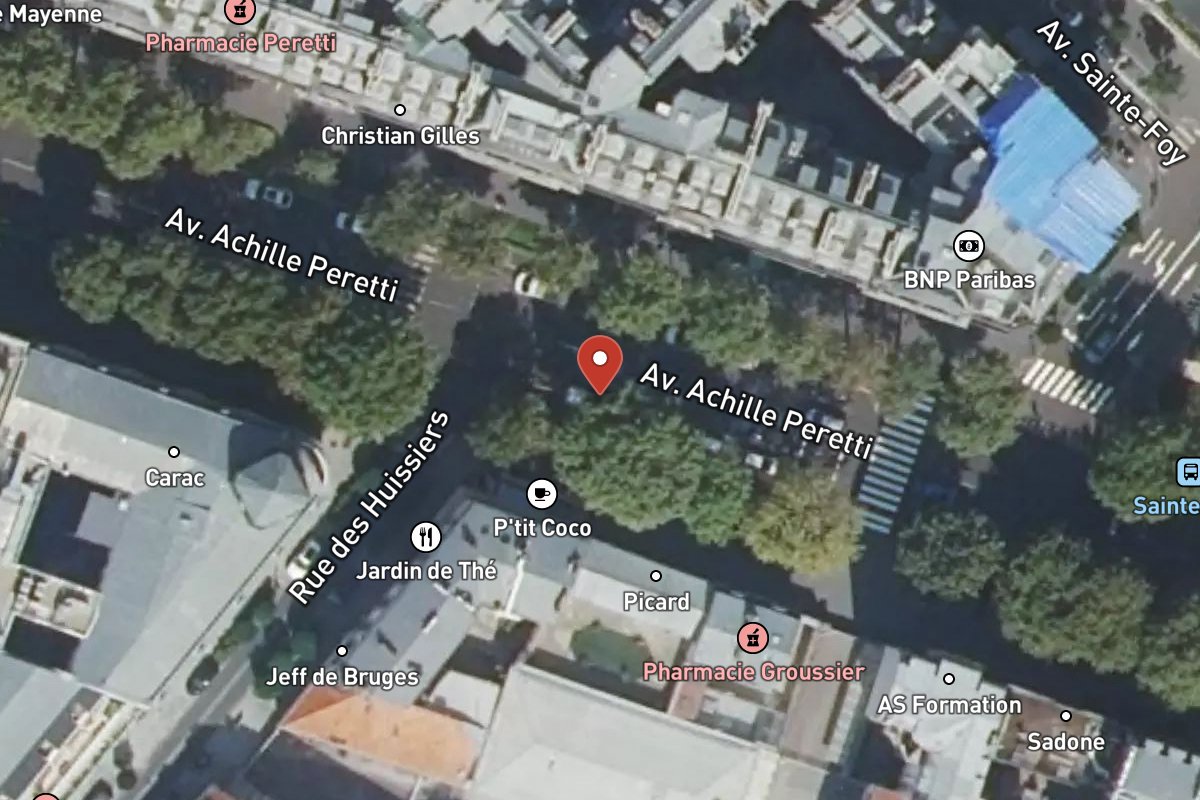 Vue satellite — Avenue Achille Peretti
