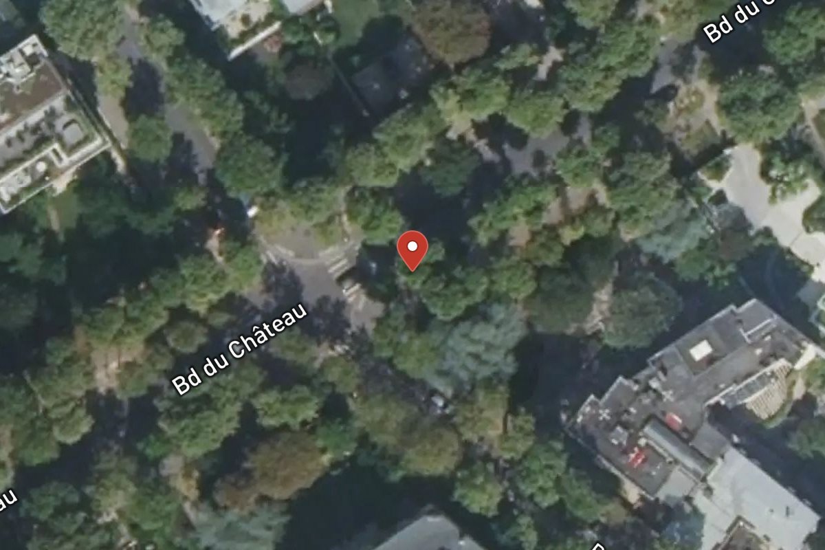 Vue satellite — Avenue du Château