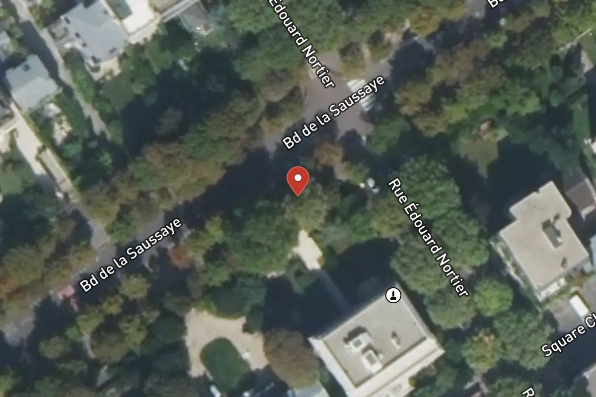 Vue satellite — Boulevard de la Saussaye